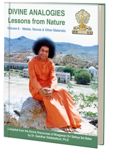 DIVINE ANALOGIES - Lessons from Nature VOL 8