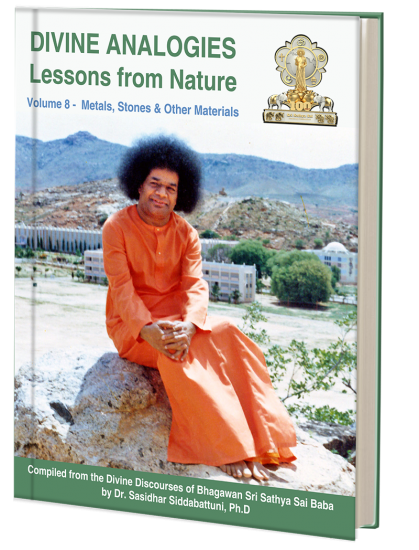 DIVINE ANALOGIES - Lessons from Nature VOL 8 - Click Image to Close
