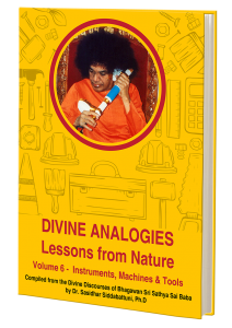 Divine Analogies Volume 6