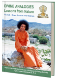 DIVINE ANALOGIES - Lessons from Nature VOL 8
