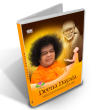 Deena Dayala - Digital Download