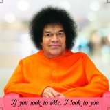 Sai Photo Magnet - "If You look to Me, I look to You'