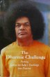 The Dharmic Challenge