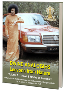 Divine Analogies - Lessons from Nature, Volume 7 - Travel & Modes of Transport