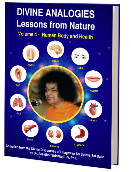Divine Analogies - Lessons from Nature - Volume 4 - Human Body and Health - Click Image to Close