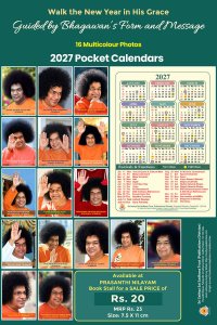 2027 Pocket Calendar