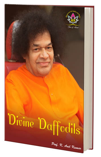 Divine Daffodils ebook - Click Image to Close