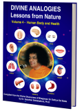 Divine Analogies - Lessons from Nature - Volume 4 - Human Body and Health